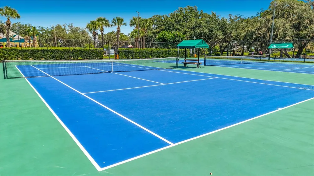 14077 ANCILLA BOULEVARD Windermere, FL 34786