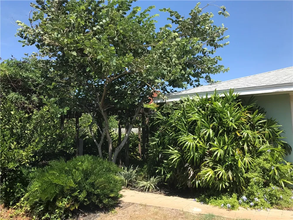 3241 Azores Drive Corpus Christi, TX 78418