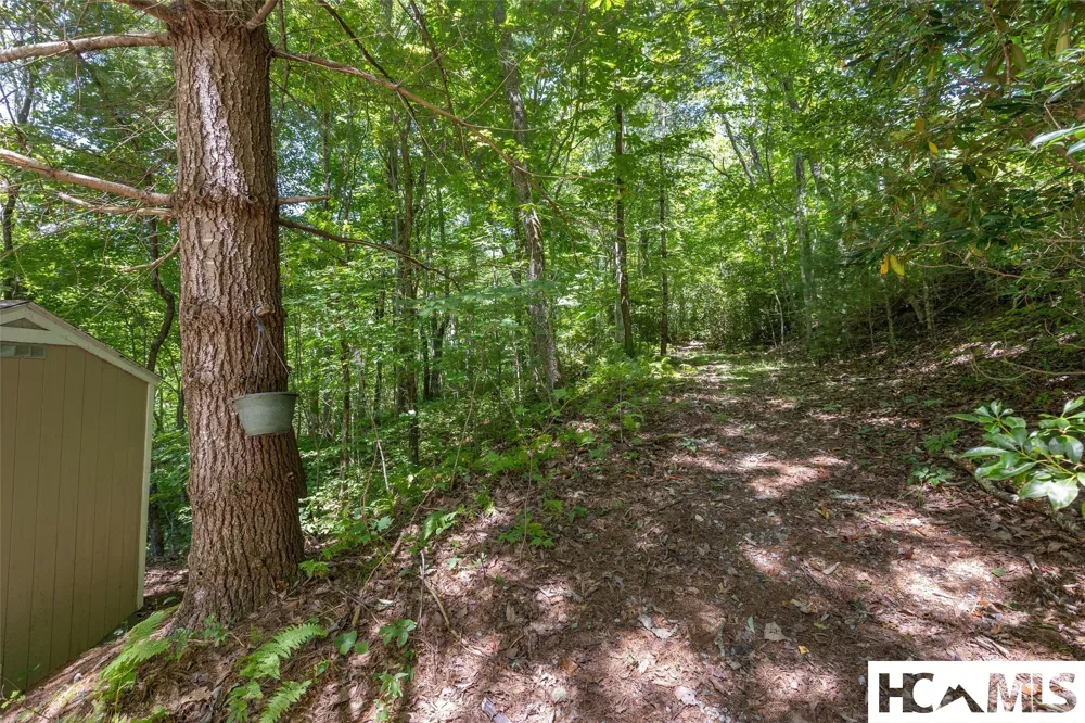 409 Crescent Moon Lane Cashiers, NC 28717