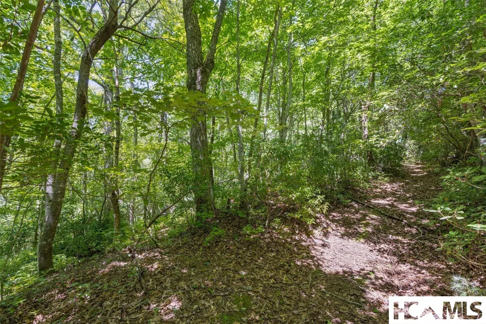 409 Crescent Moon Lane Cashiers, NC 28717