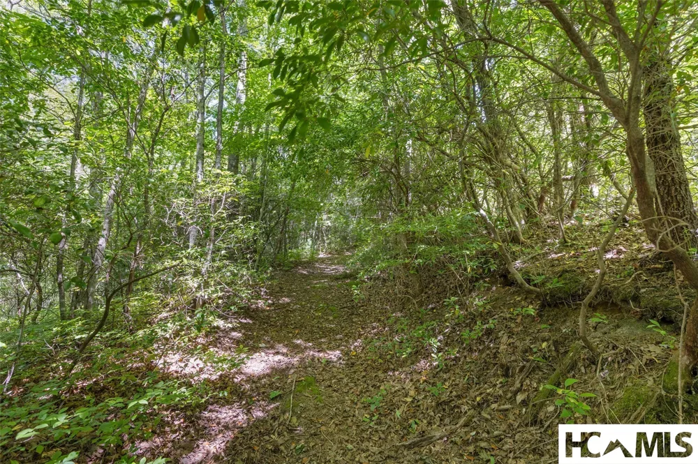 409 Crescent Moon Lane Cashiers, NC 28717