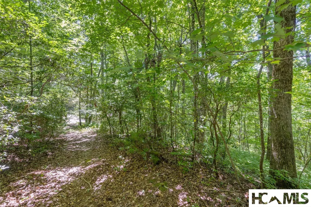 409 Crescent Moon Lane Cashiers, NC 28717