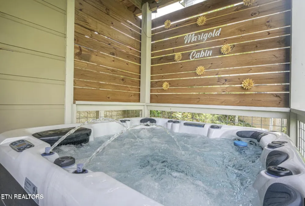 855 Osprey Way Pigeon Forge, TN 37863