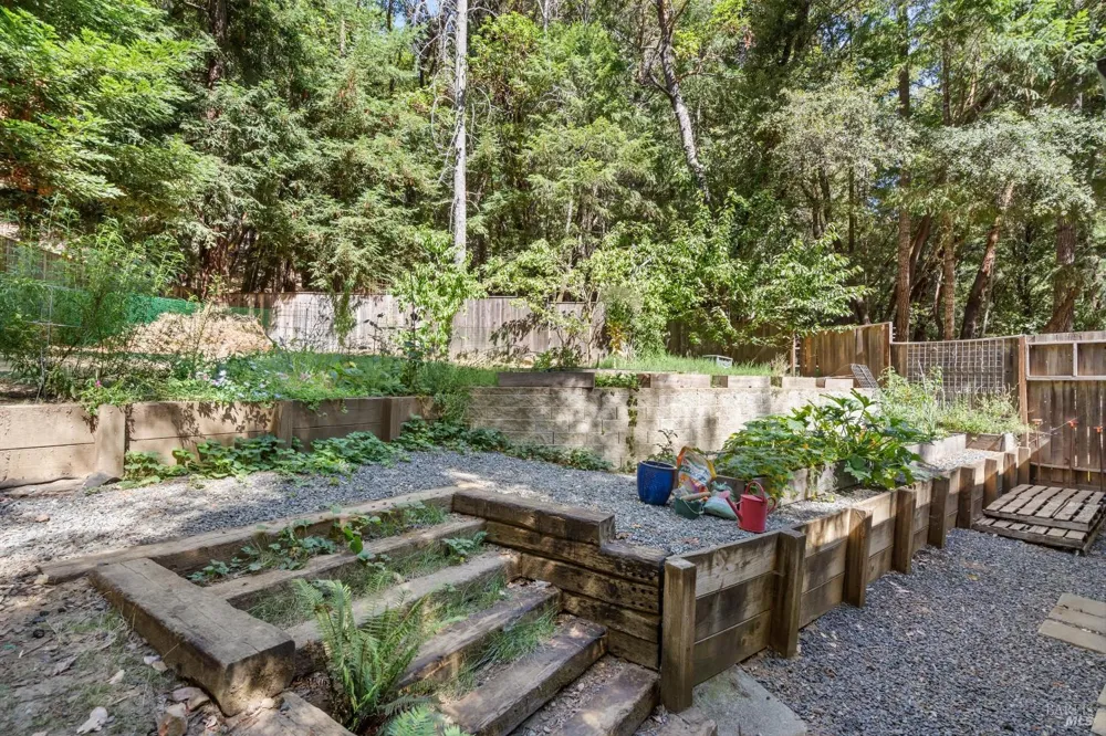 2430 Otter Lane Willits, CA 95490