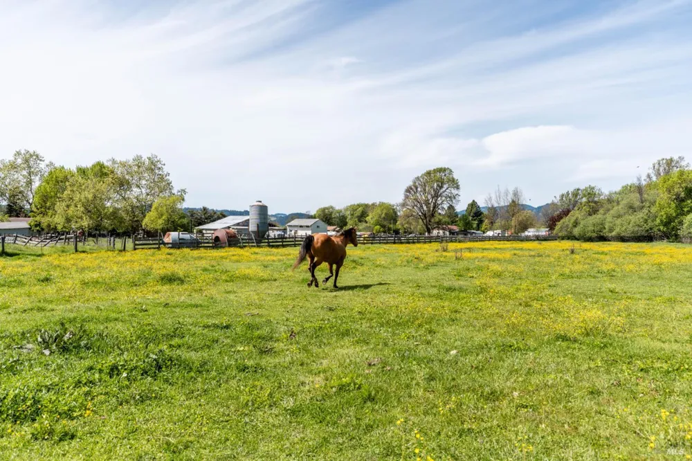 2150 Valley Road Willits, CA 95490