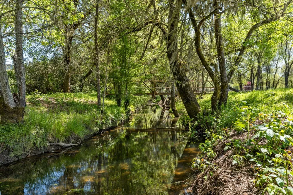 2150 Valley Road Willits, CA 95490