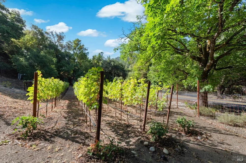 5266 Dry Creek Road Napa, CA 94558