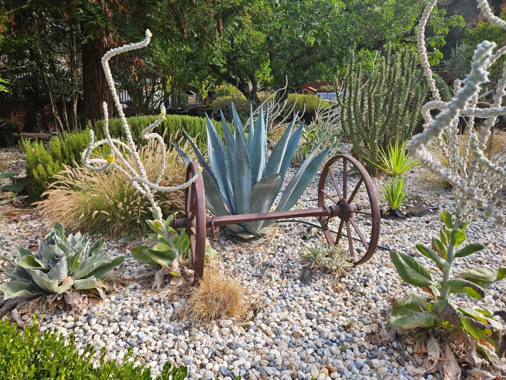 5266 Dry Creek Road Napa, CA 94558