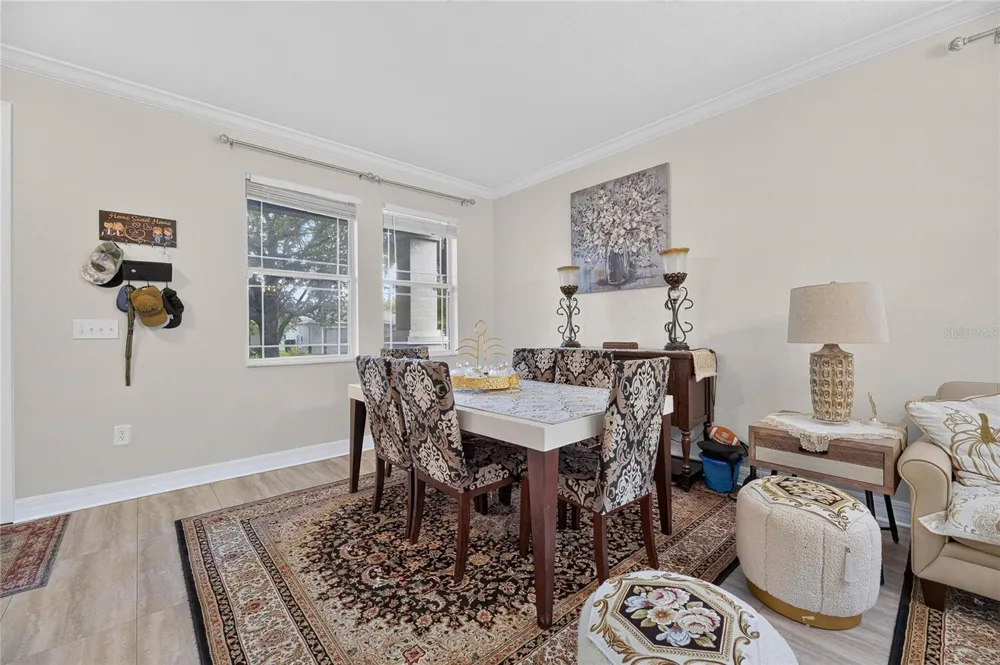 11132 RUNNING PINE DRIVE Riverview, FL 33569