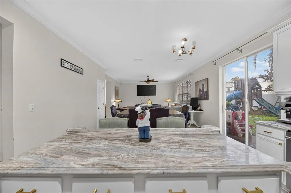 11132 RUNNING PINE DRIVE Riverview, FL 33569