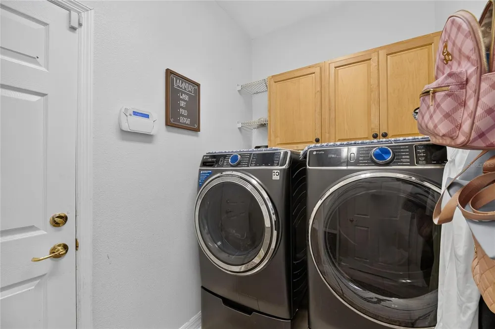 11132 RUNNING PINE DRIVE Riverview, FL 33569