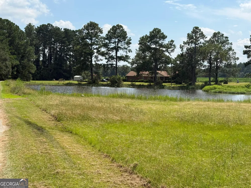 319 Poppy RD Ocilla, GA 31774