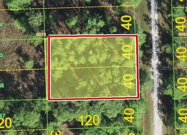 12353 RIPPLE DRIVE Punta Gorda, FL 33955