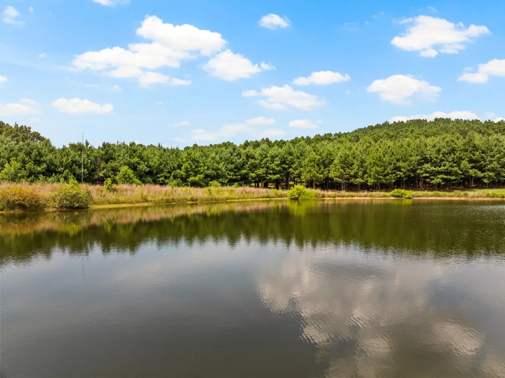 140 County Road 2242 Daingerfield, TX 75638