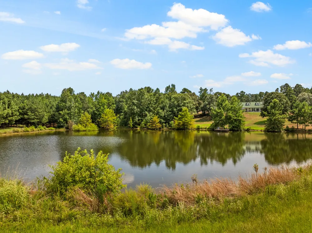 140 County Road 2242 Daingerfield, TX 75638