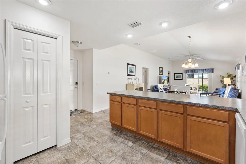 2192 SHANEWOOD COURT The Villages, FL 32162