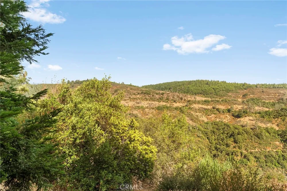 14898 Eagle Ridge Drive Forest Ranch, CA 95942