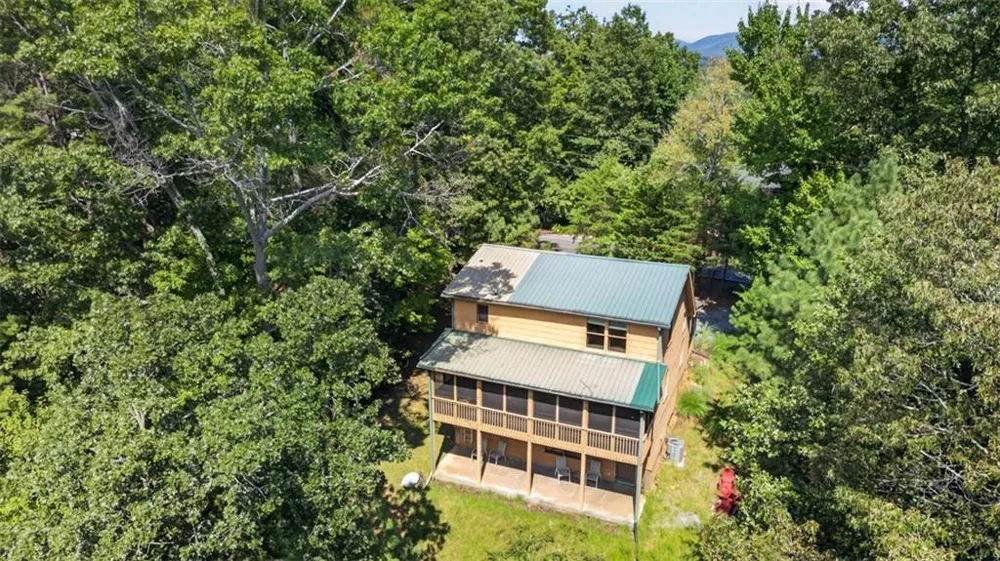 388 Palisade Drive Ellijay, GA 30540