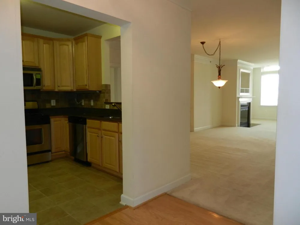 44485 CHAMBERLAIN TERRACE #303 Ashburn, VA 20147