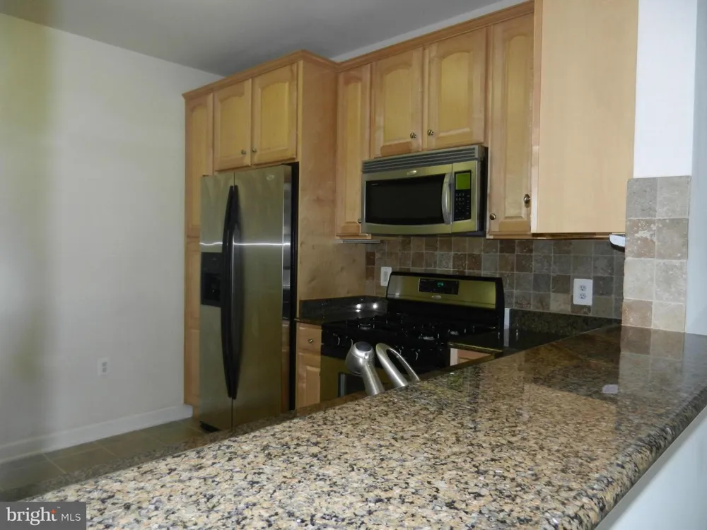 44485 CHAMBERLAIN TERRACE #303 Ashburn, VA 20147