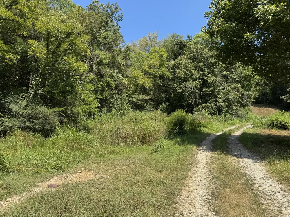 375 Watts Hollow Rd Buffalo Valley, TN 38548