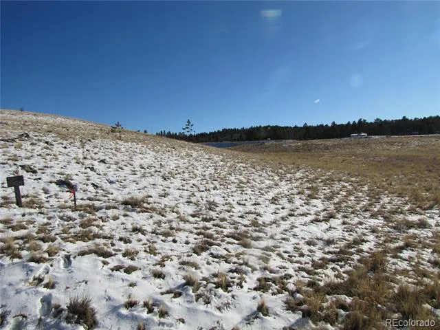 487 Falcon Road Hartsel, CO 80449