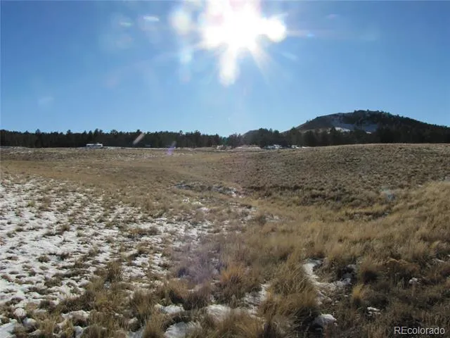 487 Falcon Road Hartsel, CO 80449
