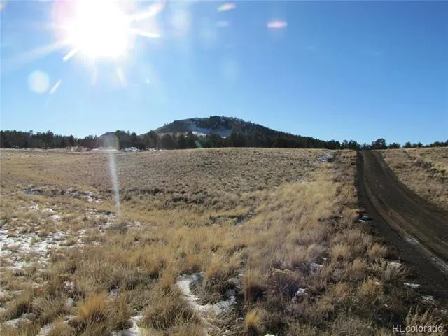 487 Falcon Road Hartsel, CO 80449