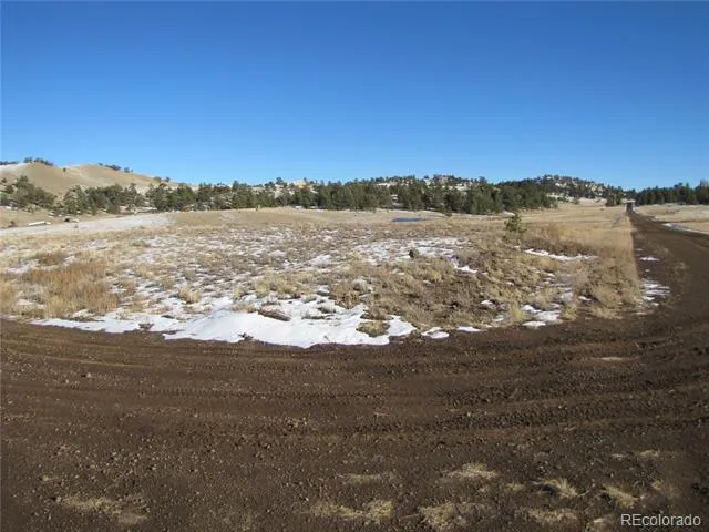 487 Falcon Road Hartsel, CO 80449