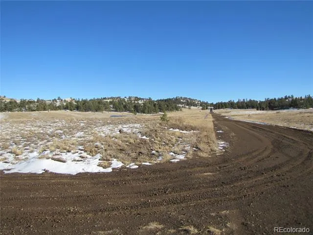 487 Falcon Road Hartsel, CO 80449