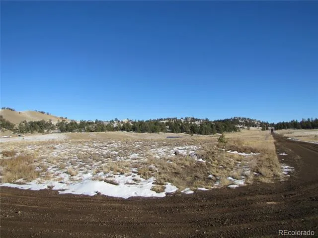 487 Falcon Road Hartsel, CO 80449
