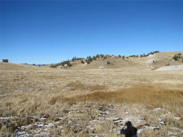 487 Falcon Road Hartsel, CO 80449