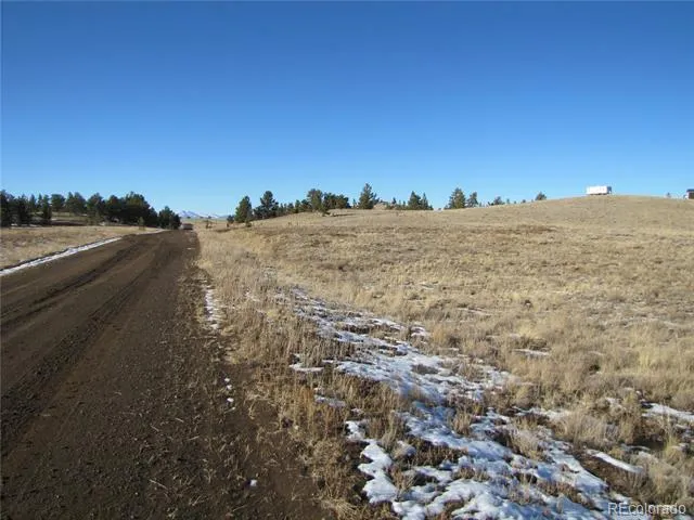 487 Falcon Road Hartsel, CO 80449