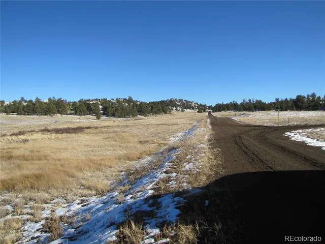 487 Falcon Road Hartsel, CO 80449