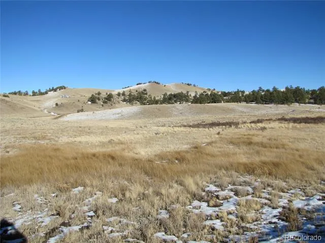487 Falcon Road Hartsel, CO 80449