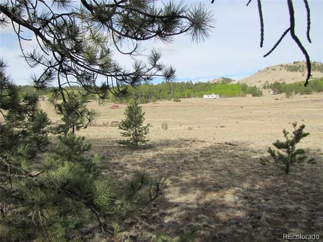 575 Falcon Road Hartsel, CO 80449