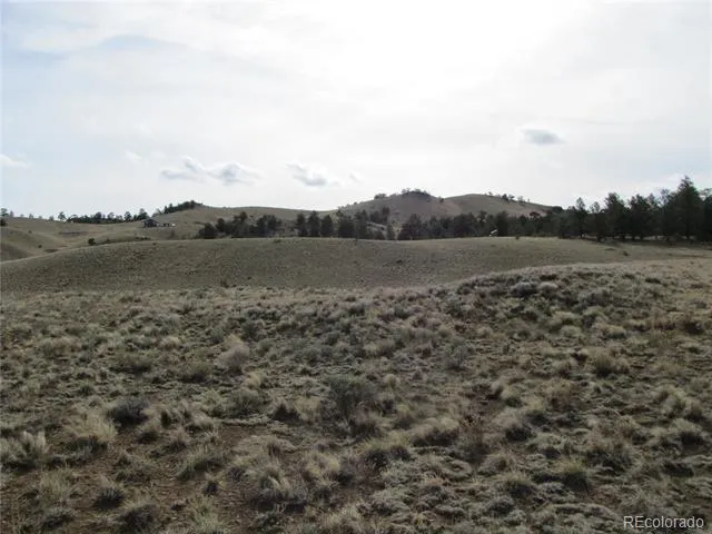 575 Falcon Road Hartsel, CO 80449