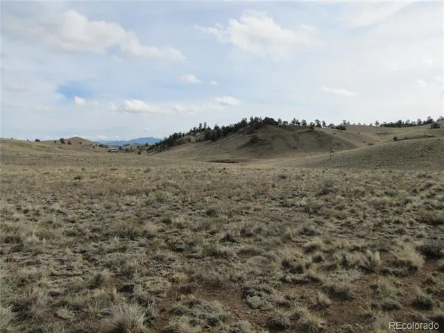 575 Falcon Road Hartsel, CO 80449