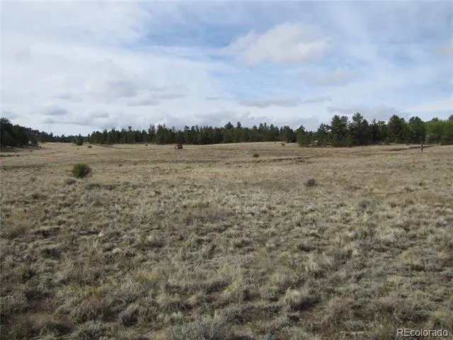 575 Falcon Road Hartsel, CO 80449