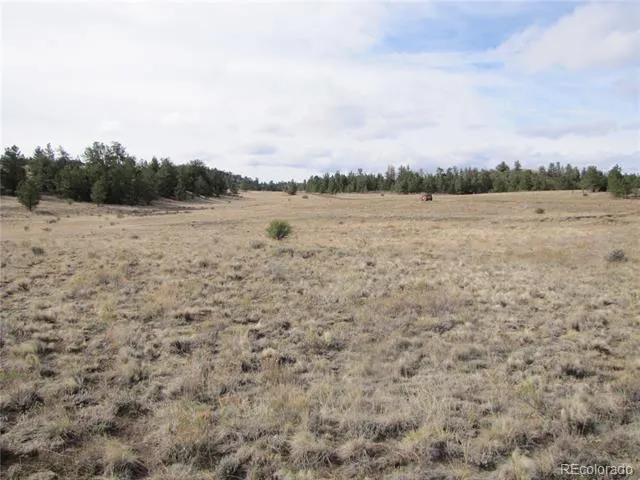 575 Falcon Road Hartsel, CO 80449