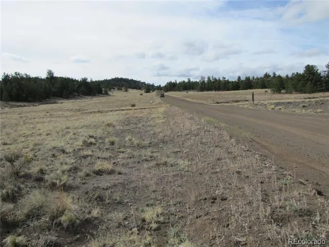 575 Falcon Road Hartsel, CO 80449