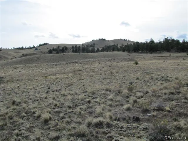 575 Falcon Road Hartsel, CO 80449