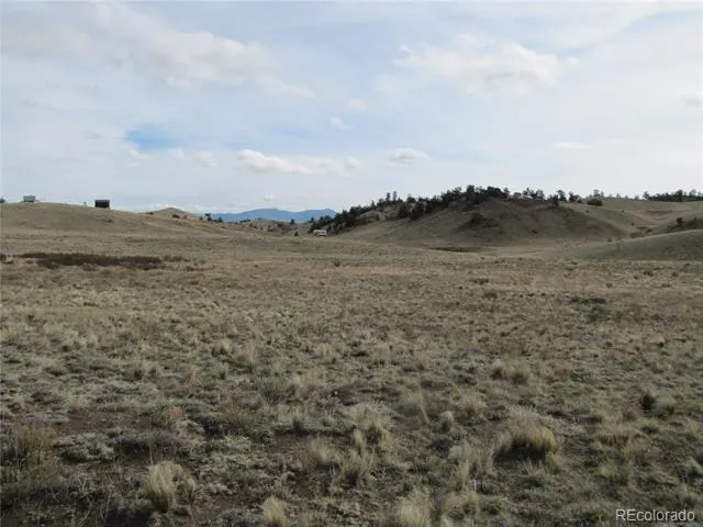 575 Falcon Road Hartsel, CO 80449