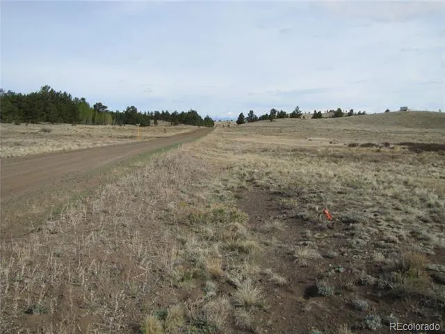 575 Falcon Road Hartsel, CO 80449