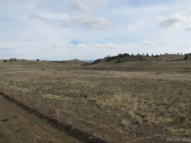 575 Falcon Road Hartsel, CO 80449