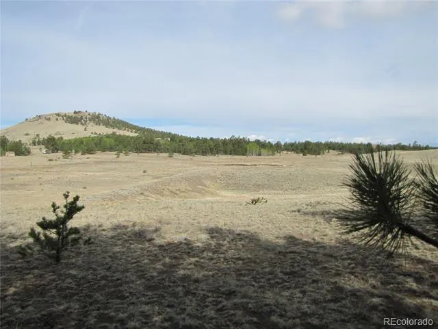 575 Falcon Road Hartsel, CO 80449