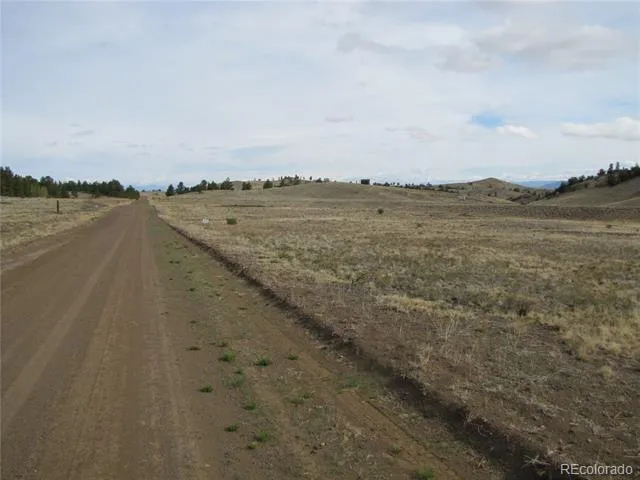 575 Falcon Road Hartsel, CO 80449