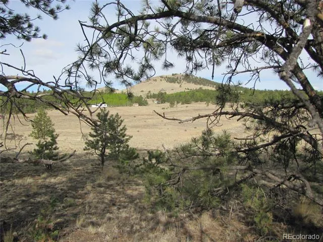 575 Falcon Road Hartsel, CO 80449