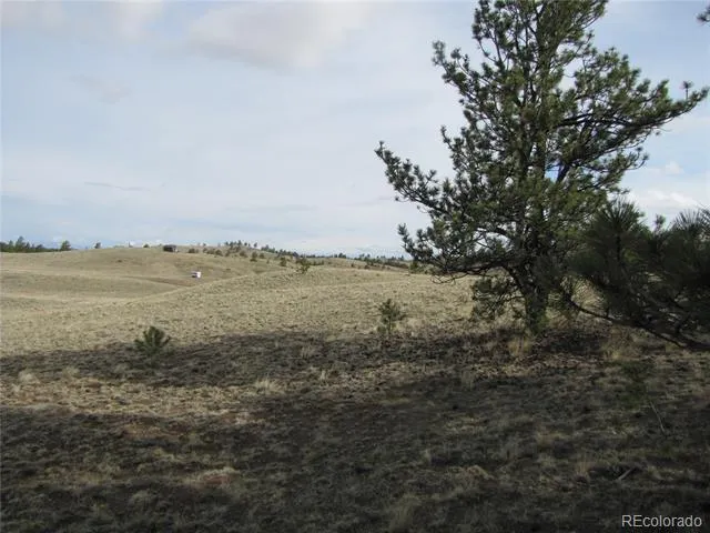 575 Falcon Road Hartsel, CO 80449