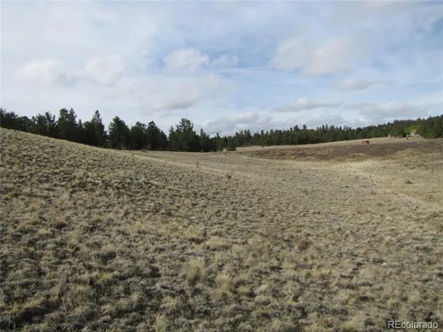 575 Falcon Road Hartsel, CO 80449